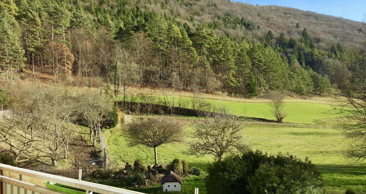 Hotel Gasthof Zum Lowen Wiechs am Randen Εξωτερικό φωτογραφία