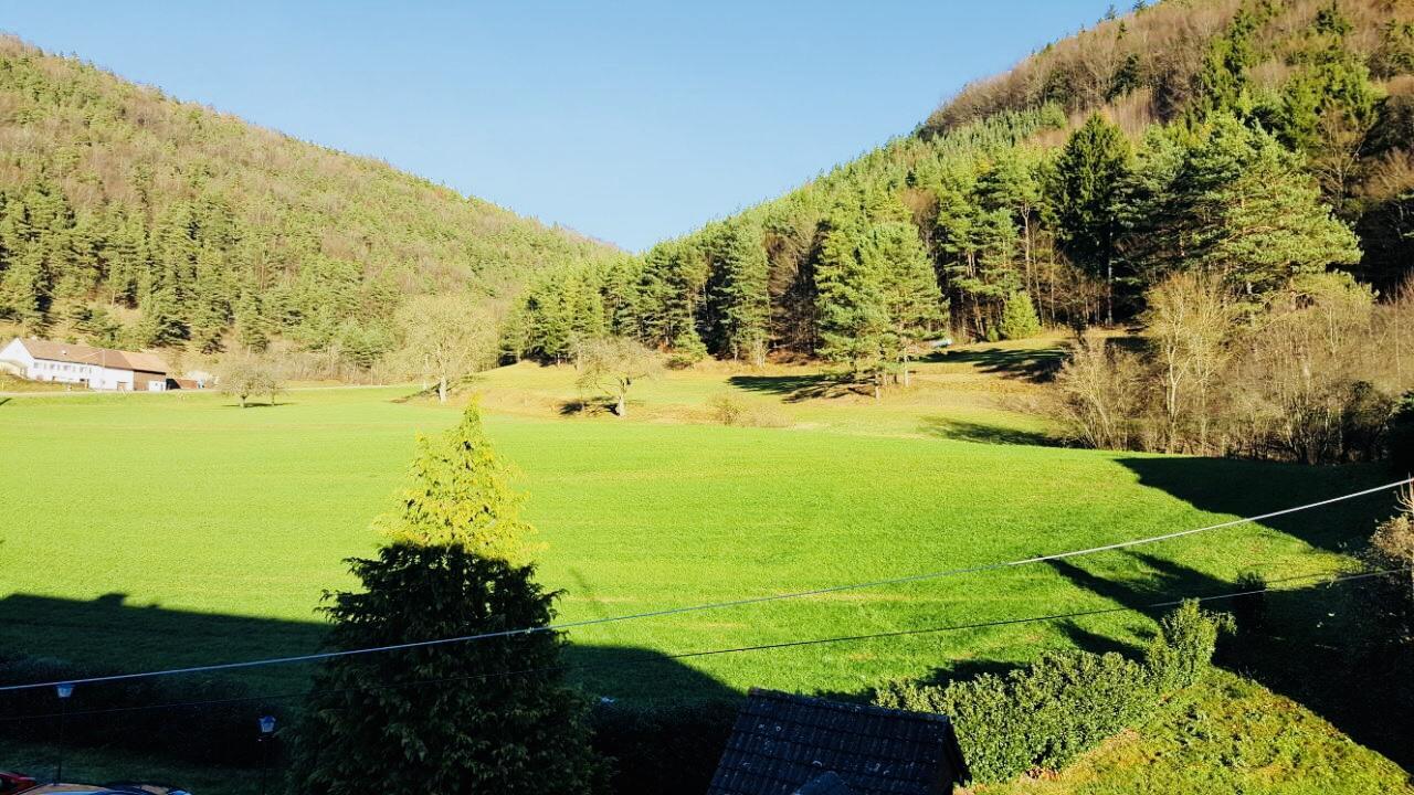 Hotel Gasthof Zum Lowen Wiechs am Randen Εξωτερικό φωτογραφία